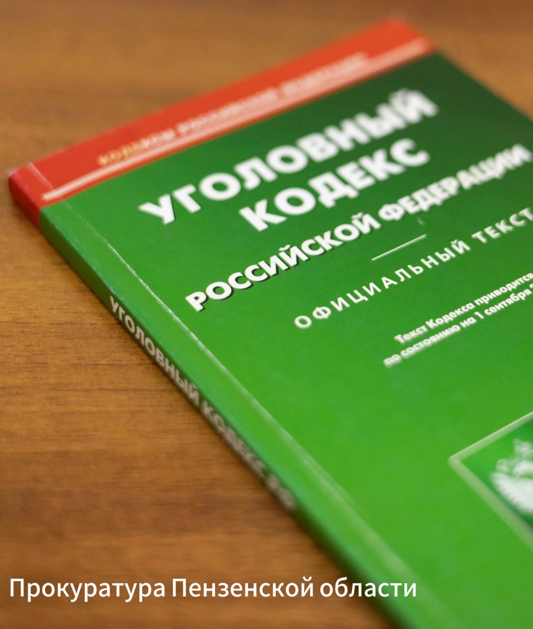 Двое молодых мужчин из г. Никольска по приговору суда проведут 6,5 лет в колонии строгого режима