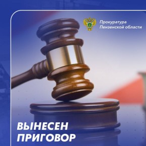 В Бессоновском районе вынесен приговор 62-летнему жителю Пензы