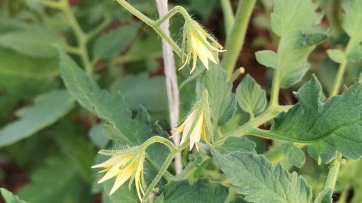 ��� ������������ ������������ ������� ����� ������� ��� ������