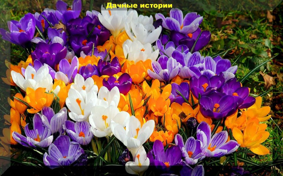 ������������� �������: 30 ��������� �������� ��� ���������� ����������