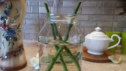 ����������� �������: ��� ��������� ������� � ���������� �� ������� ��������