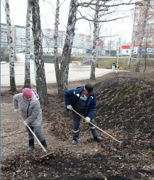 ���� "��������" ���������������