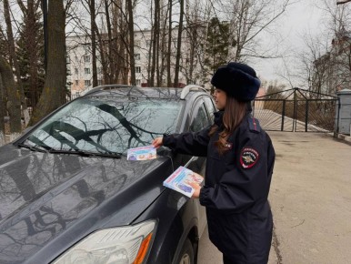 В городе Пензе автоинспекторы напомнили водителям о важности использования детских удерживающих устройств