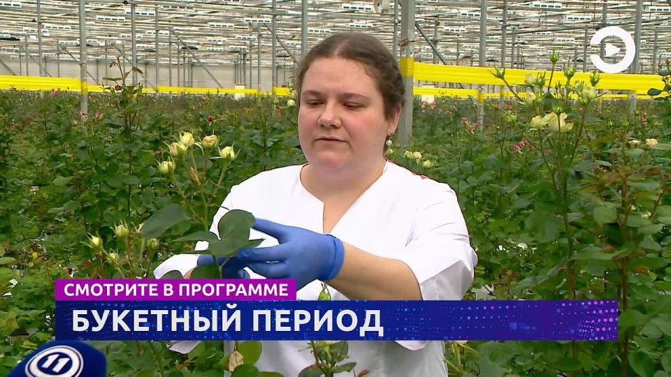 �������� ��������� "�������" � 17:30 � 19:30 �� ���������� "��������"