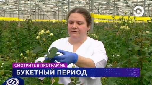 �������� ��������� "�������" � 17:30 � 19:30 �� ���������� "��������"