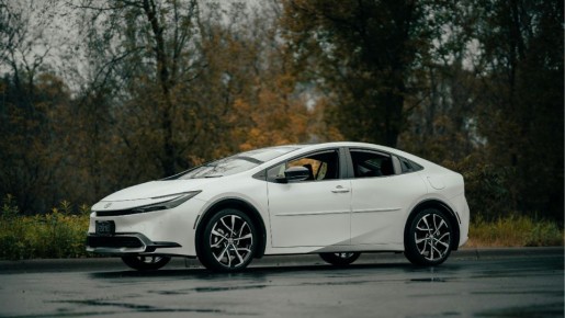 Что делать, если на вашу машину упало дерево