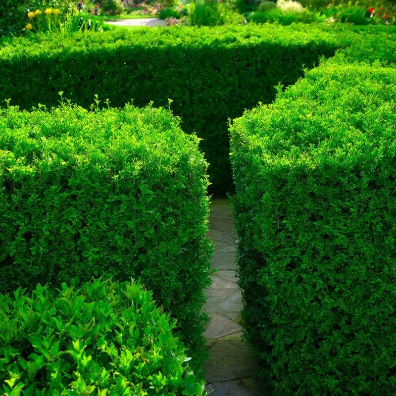 �������� ����� ��������: ���� ��� ����, ������� �����������