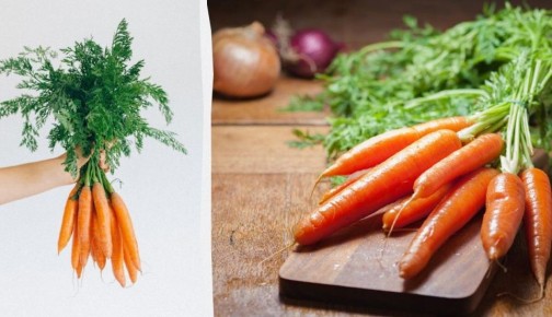 Как сохранить морковь свежей до 10 дней: простой секрет от эксперта