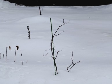 ��� �������� �������� �� ������� �����: �������� ������ ��� ������ ����