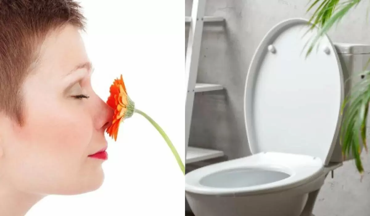 Как сохранить свежесть в туалете: творческие решения для улучшения воздуха