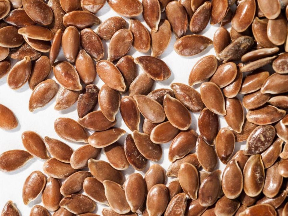 ����� �����: ������������� ���������������� ������