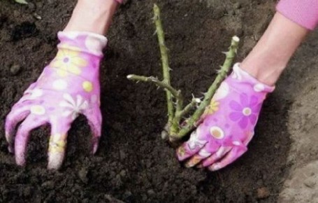 �������� ������� ���: ��������� ����������� ��� ������ ��������