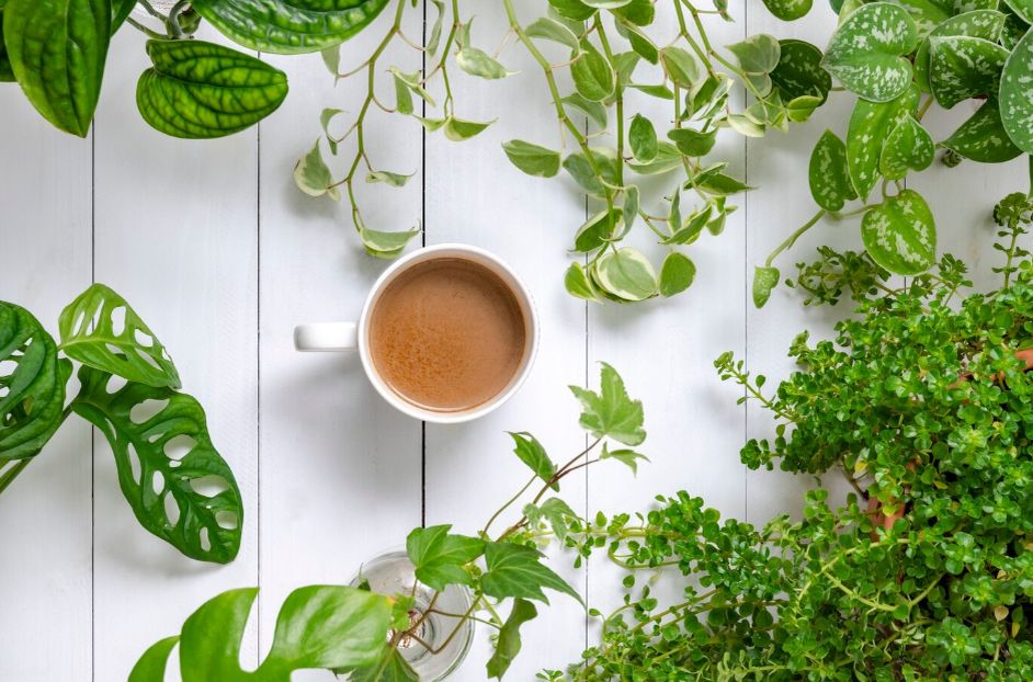 ��� ��� � ���� ����� ����������� ��� ���: ������ � ���������������