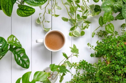 ��� ��� � ���� ����� ����������� ��� ���: ������ � ���������������