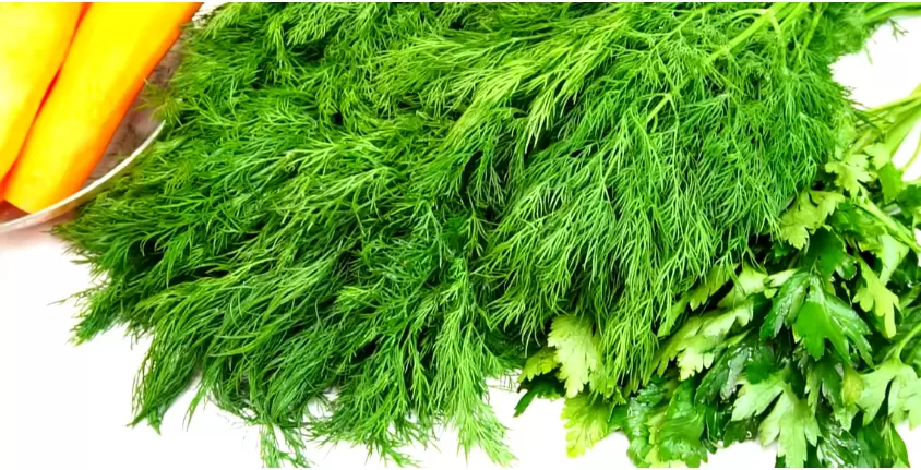 Приготовление ароматной приправы из укропа: секреты для зимних заготовок