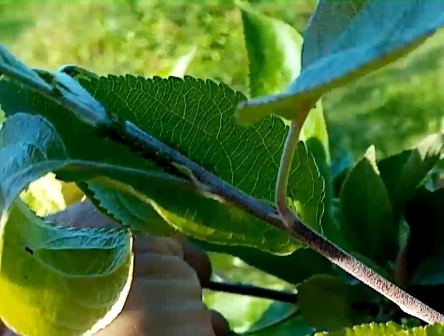 ��� ���������� �������� ��� � ����������� � ����: ������� � ��������� ������