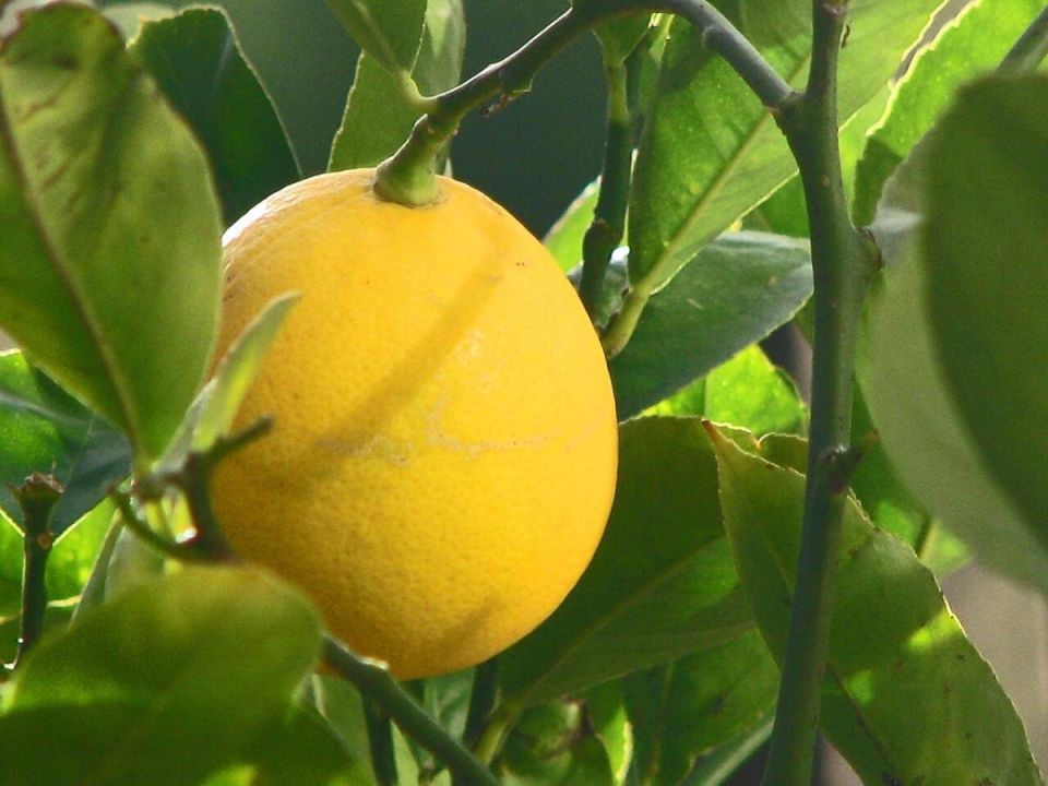 ��� ��������� �������� ������ � ������: ������� ��������� ����� � ������� ������