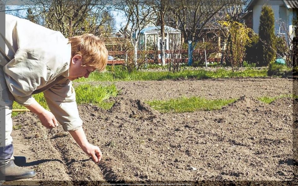 �������� ������: ����� �����, ������ � ����� ����� �������� � ������