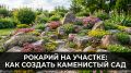 Как создать рокарий на своем участке: шаг за шагом к идеальному каменистому саду