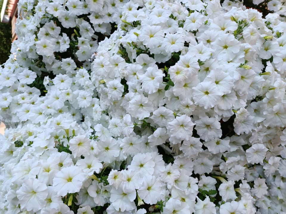 �������� �����: ��� ���������� ��� �������