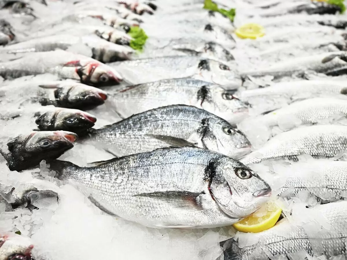 Новый ГОСТ на мороженую рыбу: жесткие стандарты качества