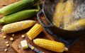 Секреты выбора и варки кукурузы: как добиться идеального вкуса