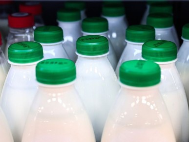 ������������� ��������: ��� ������� �������� ������ � �������� �������������