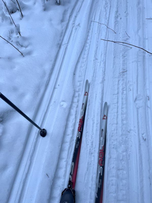 ��� ������������� � �����: ��������� ���� �� ������ ��� ���������