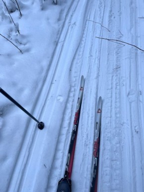 Как подготовиться к весне: экономное меню на гречке для похудения