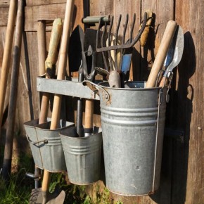 ��� ������������ ��������� �������� �������� �����������: ������� �������