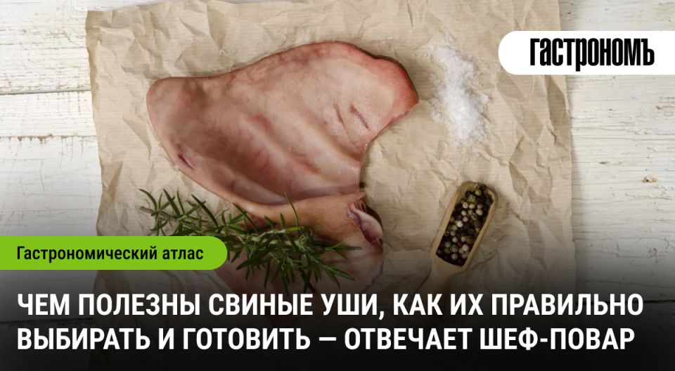 ������� ������ ����: �� ������ �� �������������