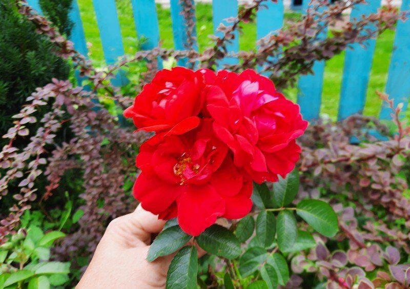 ���������� ��������: 15 �������� � ������������� �������� ��� ������ ����