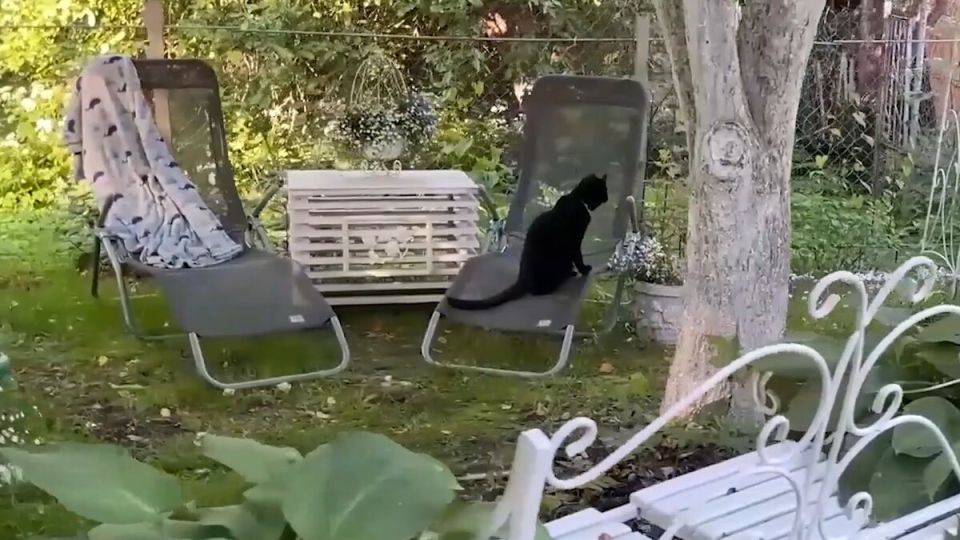 ��� ������� ��������� ������� ��� ����: ���, ��� ����� �����