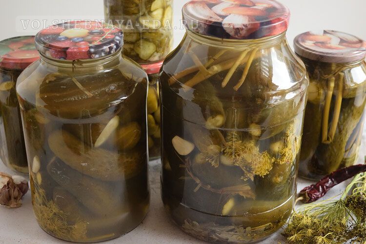 �������� ������� �� ����