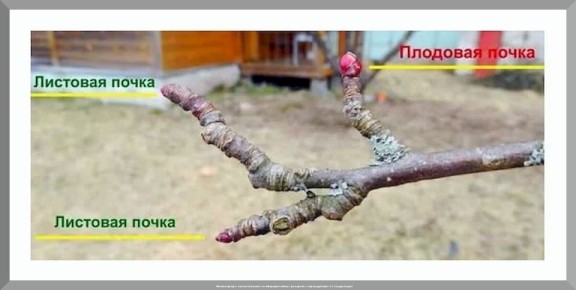 ��� ������� ������ � ����: ���������� ������ ��� ��������