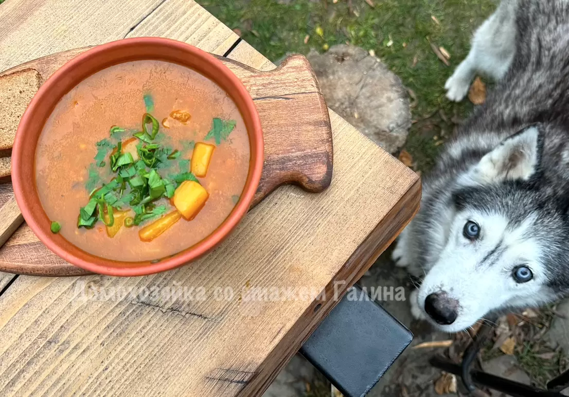 Вкусный суп на мангале: секреты приготовления от мастера