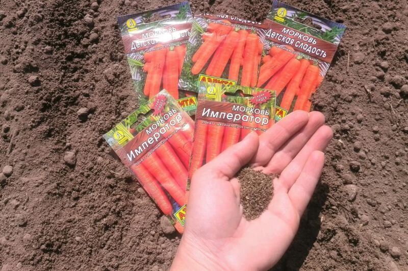 ��������� ������� ������ �������: ��� ��������� ��������� ���������� ��� ������������