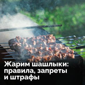 Чтобы сезон шашлыков, едва начавшись, не закончился штрафом, важно знать правила для каждой локации