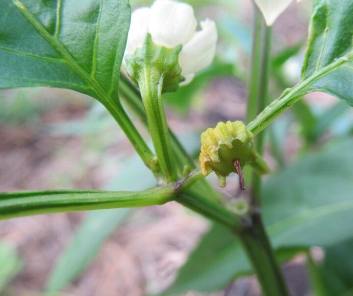 ��������� �����: ��� �������� �������� � �������� ������