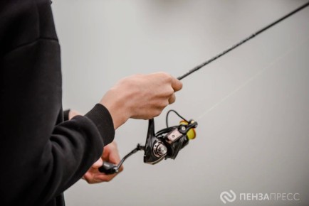 � 15 ������ �� 15 ���� � ���������� ������� ����� ����������� ���������� ������ � �������� ����������� �� ������� � ����������� ������