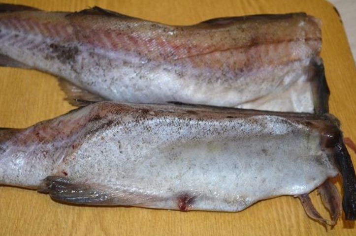 ������ �������: ��� �������� ��������� ����� � ������� ������������ ����