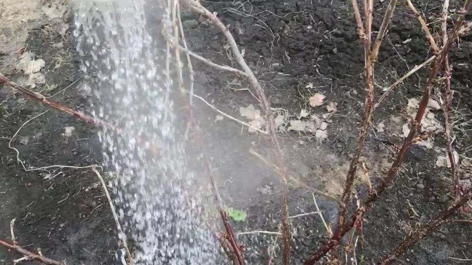 ��� ��������� �������� ������ ��������� ������: ������� ��������� �����