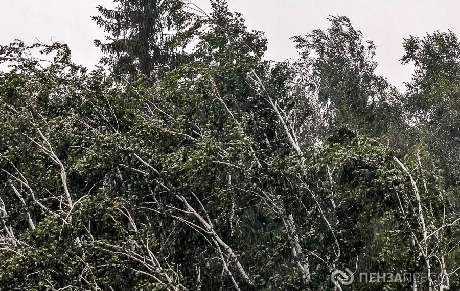 ����� � ������ � ���������� ������: ��������� ���������� � ������ �� 17 ������