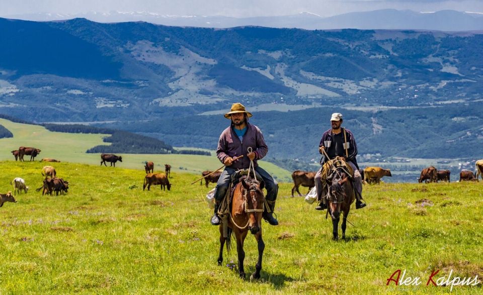 ������ ��������� ������� �������� ��������: ��� ������� � ����� 2026 ����