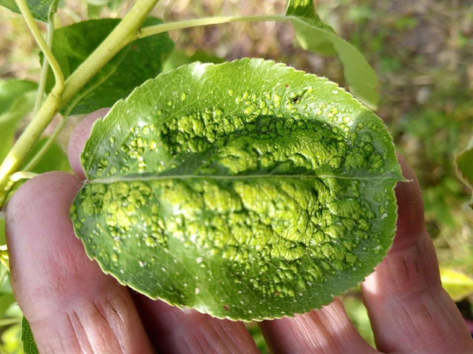 �������� ���: ��� �������� ���� ����� �� ���������� �����