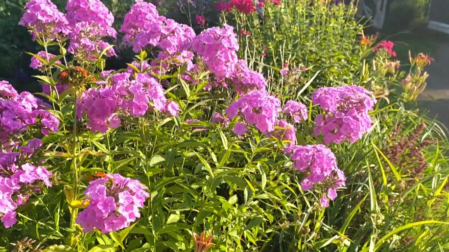 ��� ������� ��������� ��� ��� ������ ������: ������� ����� ������ ������