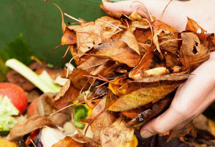 ���� ������ ������� ������: ��� �� ������, � ��� �� ����