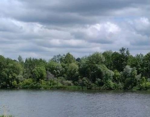 ����� ����� ������ � �������� ���������� � ����� � ����