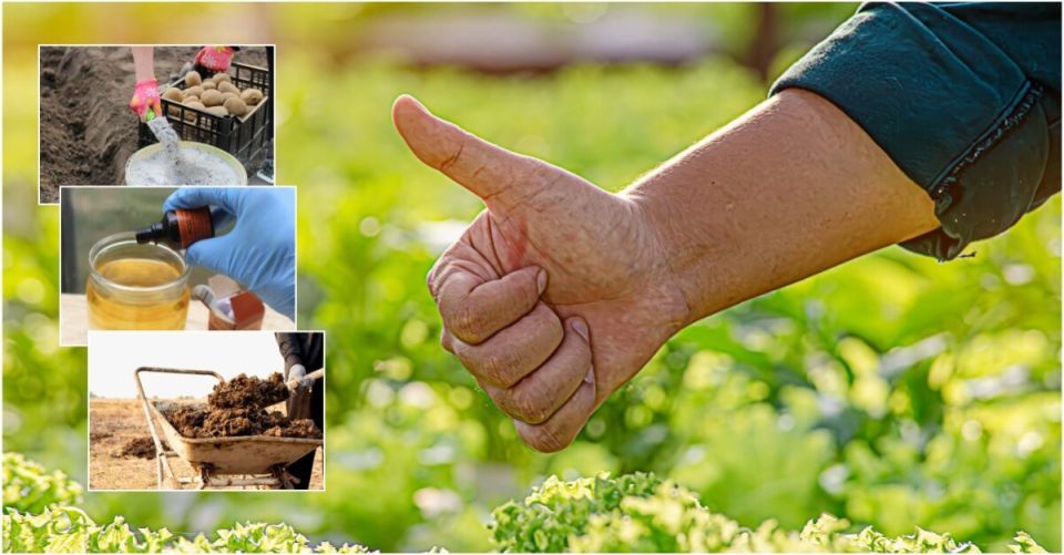 ��������� ������� ��� ���������: ������� ��������� ����������