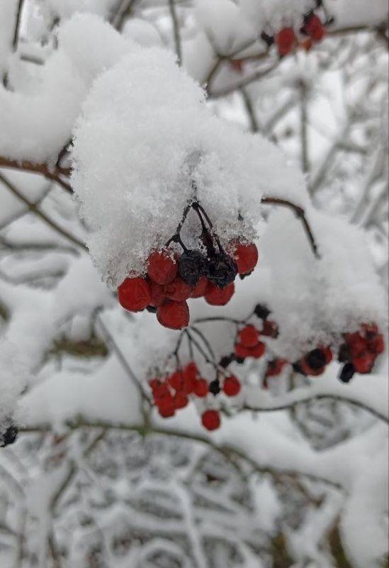 ������ �������: ����� ���� ����� ����������� � �������� ������?